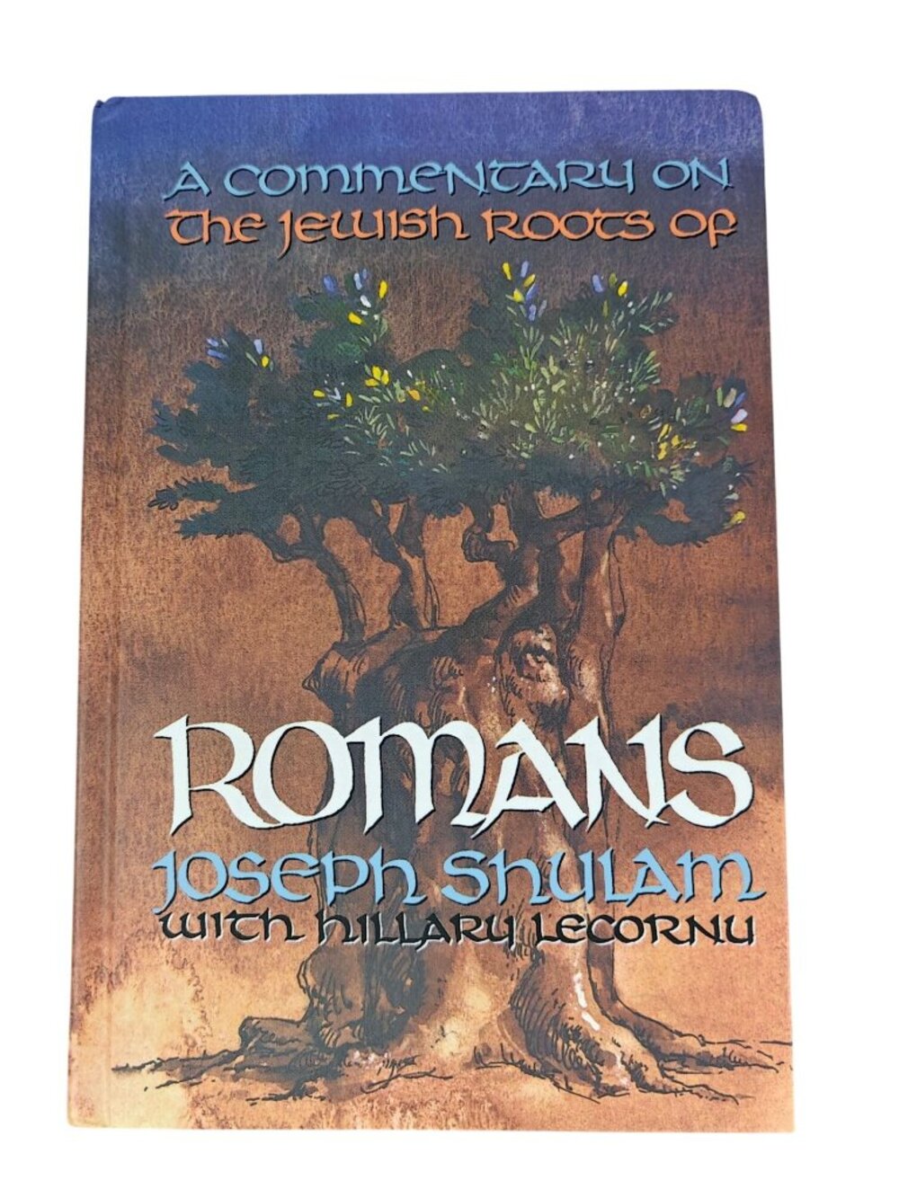 Romans Joseph Shulam A Commentary On The Jewish Roots Of Hardcover 1997 Theology